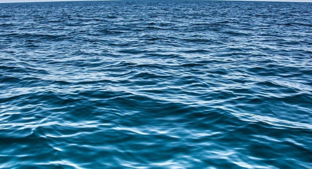Carmabi viert World Ocean Day met gratis activiteiten in Piscadera (Picture by: nu.cw)