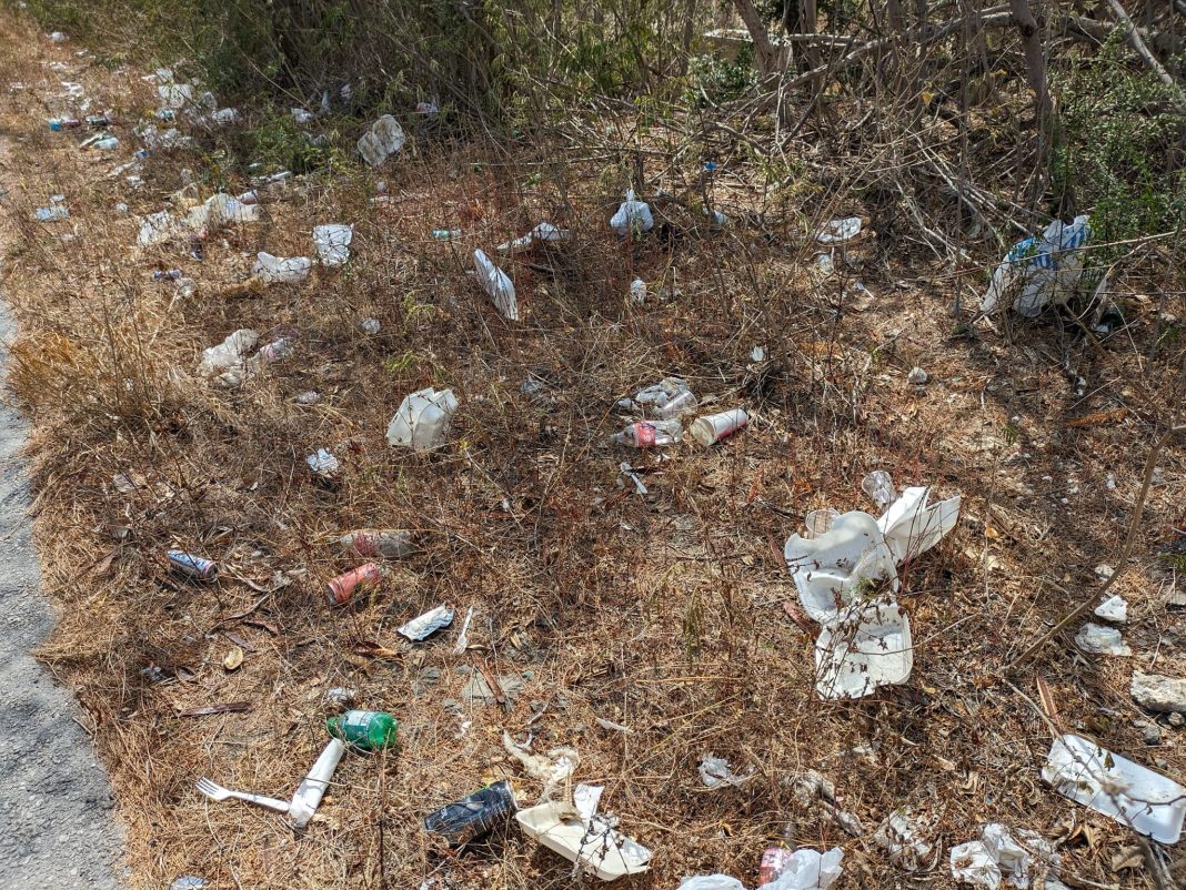 SER bekijkt plasticplan breder dan verbod op wegwerpartikelen SER bekijkt plasticplan breder dan verbod op wegwerpartikelen