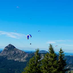 Oostenrijkse paraglider ontsnapt aan de dood na botsing met klein vliegtuig Oostenrijkse paraglider ontsnapt aan de dood na botsing met klein vliegtuig (Picture by: nu.cw)
