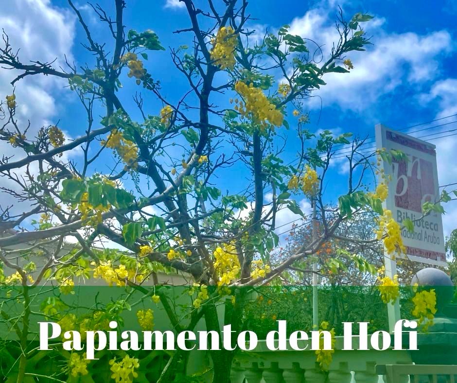 Fundacion Lanta Papiamento viert 23 jaar officiële erkenning met cultureel programma Fundacion Lanta Papiamento viert 23 jaar officiële erkenning met cultureel programma