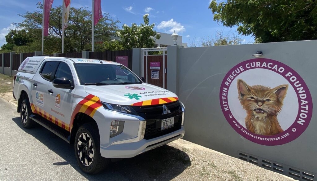 Sandals Royal Curaçao pakt zwerfkattenprobleem aan met diervriendelijke methode Sandals Royal Curaçao pakt zwerfkattenprobleem aan met diervriendelijke methode (Picture by: nu.cw)