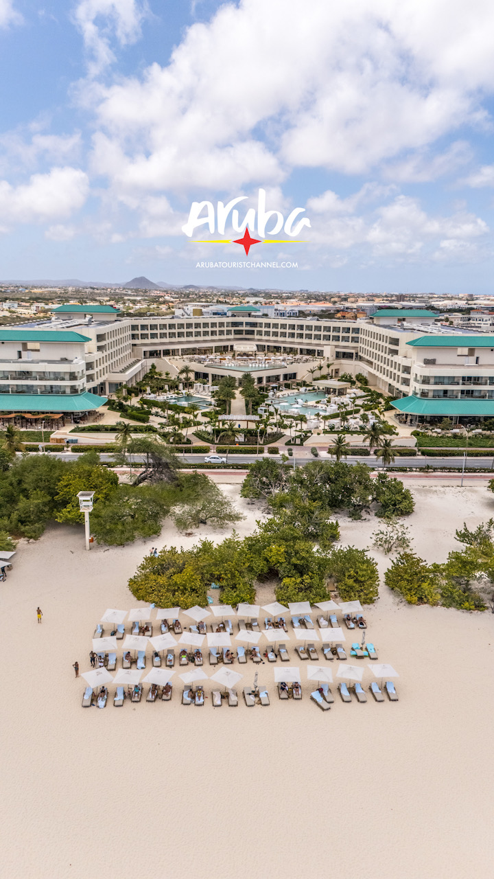 Iberostar verbindt toerisme op Aruba aan gemeenschap, natuurbehoud en onderwijs Iberostar verbindt toerisme op Aruba aan gemeenschap, natuurbehoud en onderwijs