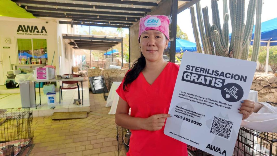 AWAA organiseert gratis sterilisatiecampagne met ondersteuning van buitenlandse dierenartsen (Picture by: 24ora.com)
