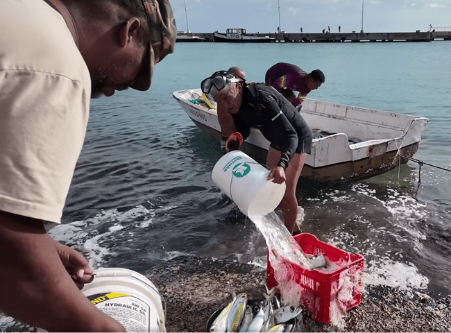 BHRO: Rechten van traditionele vissers op Bonaire zijn mensenrechtenkwestie (Picture by: 721news.com)