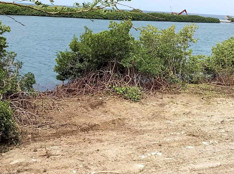 Beweging Save Zakitó wil ook milieuonderzoek rond bouwproject Zakitó (Picture by: extra.cw)