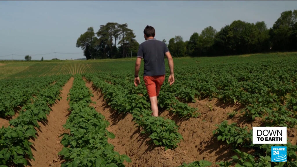 Franse coöperatie bewijst: biologische landbouw kan de wereld voeden (Picture by: s.france24.com)