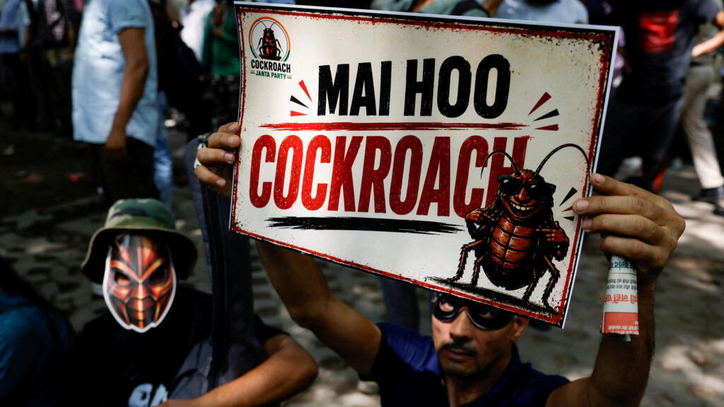 Indiase Gen Z 'Kakkerlakkenpartij' houdt eerste straatprotest in New Delhi (Picture by: s.france24.com)