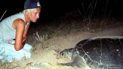 Libanese schildpaddenactiviste Mona Khalil omgekomen na Israëlische aanval (Picture by: ichef.bbci.co.uk)