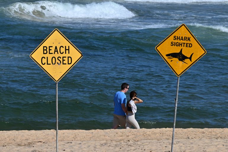 Man omgekomen na haaiaanval voor kust van West-Australië (Picture by: aljazeera.com)