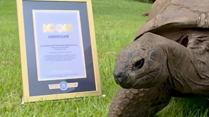 Oudste schildpad ter wereld deelt Guinness World Records-lijst met Ronaldo (Picture by: extraboneiru.com)