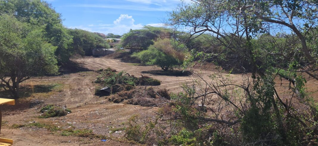 Parlementslid Carolina benadrukt belang van damonderhoud in Curaçao (Picture by: extra.cw)