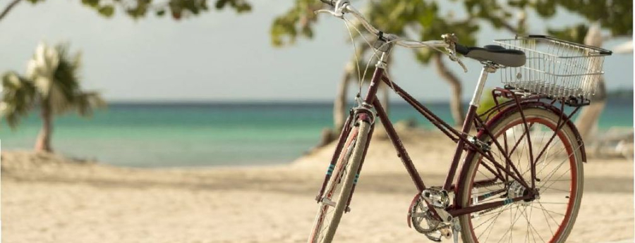 Rainbow Warriors pleit voor investering in fietsinfrastructuur en regulering van e-bikes op Aruba (Picture by: noticiacla.com)