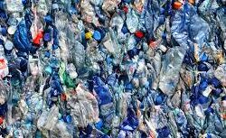 Recyclingorganisaties op Curaçao pleiten voor verbod op gekleurde PET-flessen (Picture by: nu.cw)