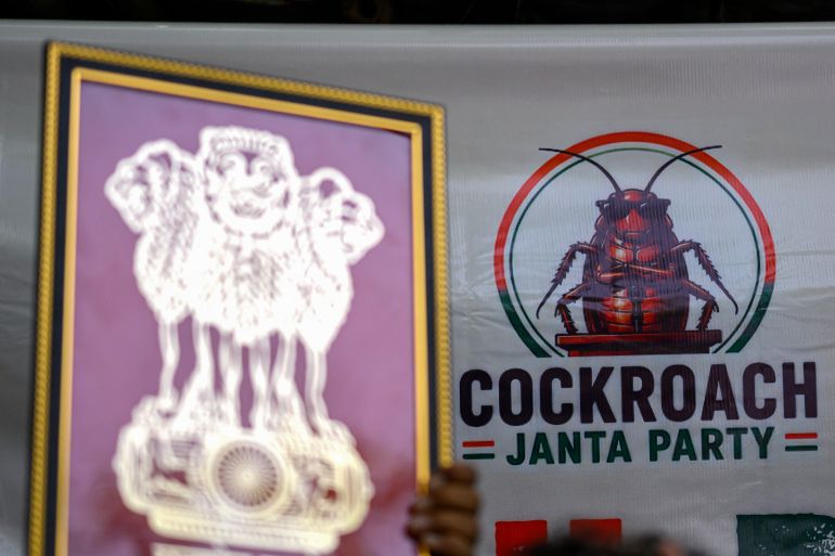 Satirische 'Kakkerlakkenpartij' mobiliseert honderden demonstranten in New Delhi (Picture by: aljazeera.com)