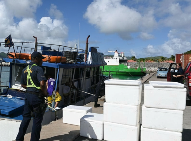 Sint Maarten lanceert nieuw biosecurityproject tegen invasieve soorten (Picture by: 721news.com)