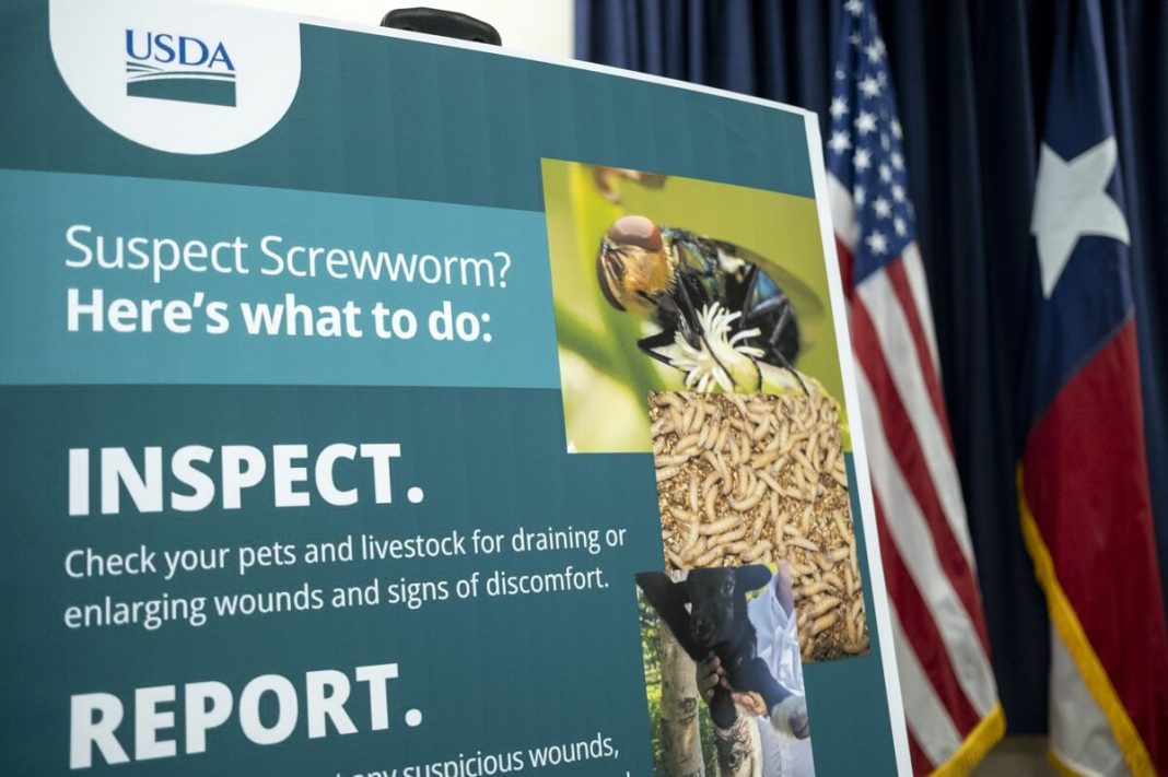 Tweede geval van schroefworm bevestigd in Texas (Picture by: assets.bwbx.io)