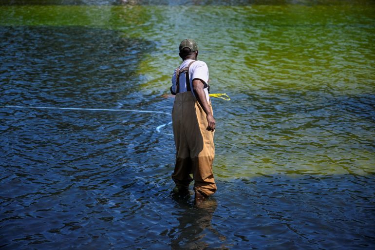 Washingtons beroemde spiegelvijver kleurt groen door algen na miljoenenrenovatie Washingtons beroemde spiegelvijver kleurt groen door algen na miljoenenrenovatie (Picture by: aljazeera.com)