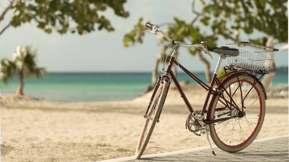 Wereldfietsdag onderstreept gebrekkige verkeersveiligheid voor fietsers op Aruba Wereldfietsdag onderstreept gebrekkige verkeersveiligheid voor fietsers op Aruba (Picture by: 24ora.com)
