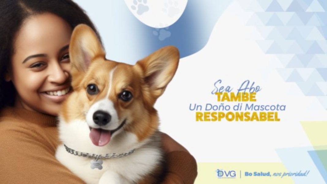 Aruba start campagne tegen dierenleed en onverantwoord huisdierenbezit (Picture by: pubble.cloud)
