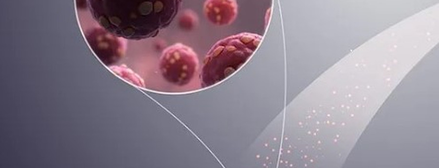 DVG evalueert risico na gevallen Hantavirus in Venezuela (Picture by: noticiacla.com)