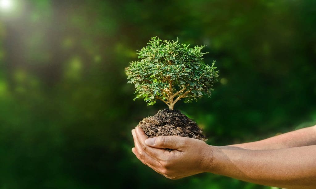 Directie Natuur en Milieu roept op tot bewustwording bij Wereld Natuurbehoud Dag (Picture by: 24ora.com)