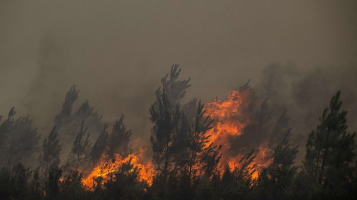 Uitgestrekte bosbranden dwingen tot massale evacuatie rond Bordeaux (Picture by: aljazeera.com)