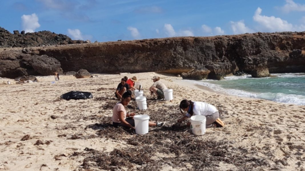 Aruba houdt tweede landelijke schoonmaakactie aan Aruba houdt tweede landelijke schoonmaakactie aan (Picture by: pubble.cloud)