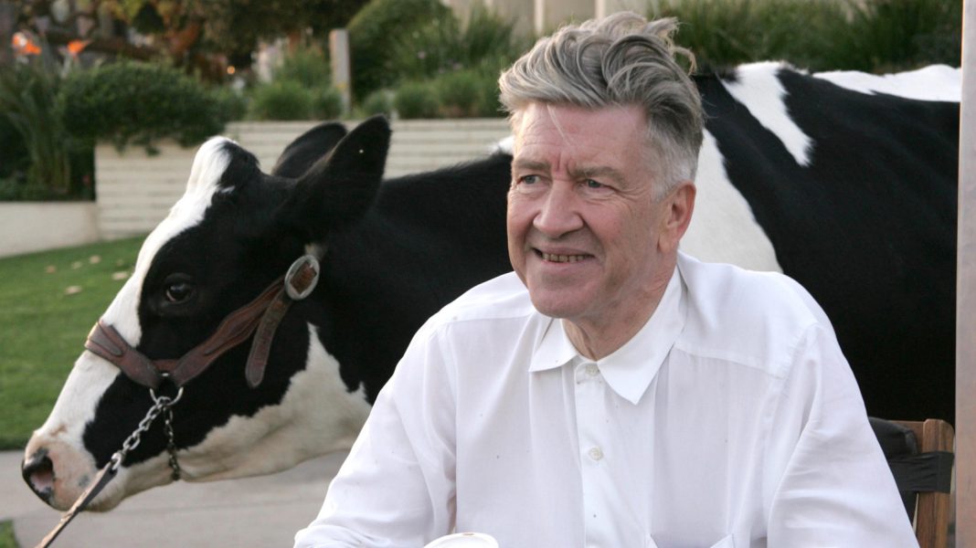 David Lynch: Waarom verwachten mensen van kunst dat het logisch is? David Lynch: Waarom verwachten mensen van kunst dat het logisch is? (Picture by: slashfilm.com)