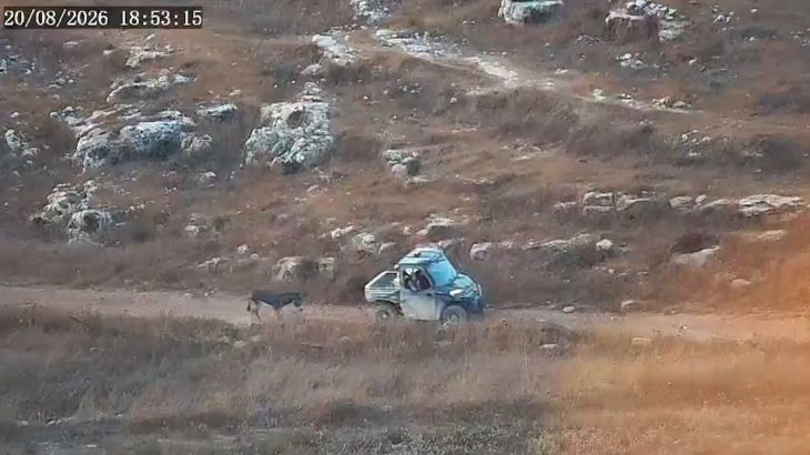 EU-gesanctioneerde kolonist steelt en doodt Palestijnse ezel Door EU gesanctioneerde Israëlische kolonist steelt en doodt Palestijnse ezel (Picture by: aljazeera.com)