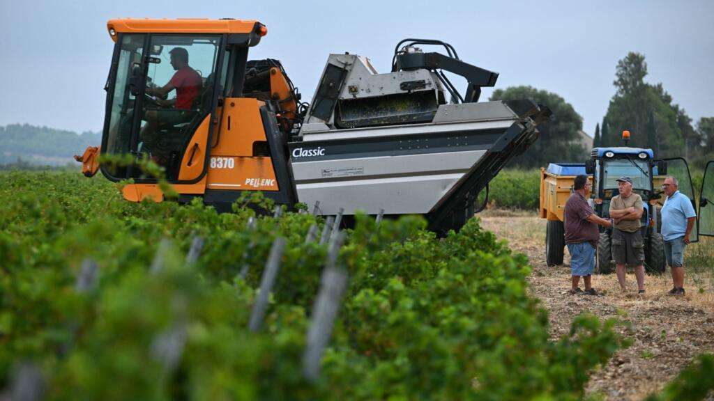 Europese wijnmakers worstelen met klimaatverandering (Picture by: s.france24.com)