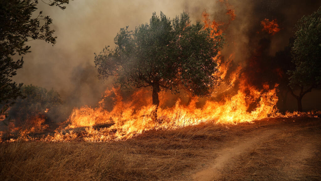 Extreme hitte veroorzaakt bosbranden en droogte in Europa Extreme hitte veroorzaakt bosbranden en droogte in Europa (Picture by: s.france24.com)