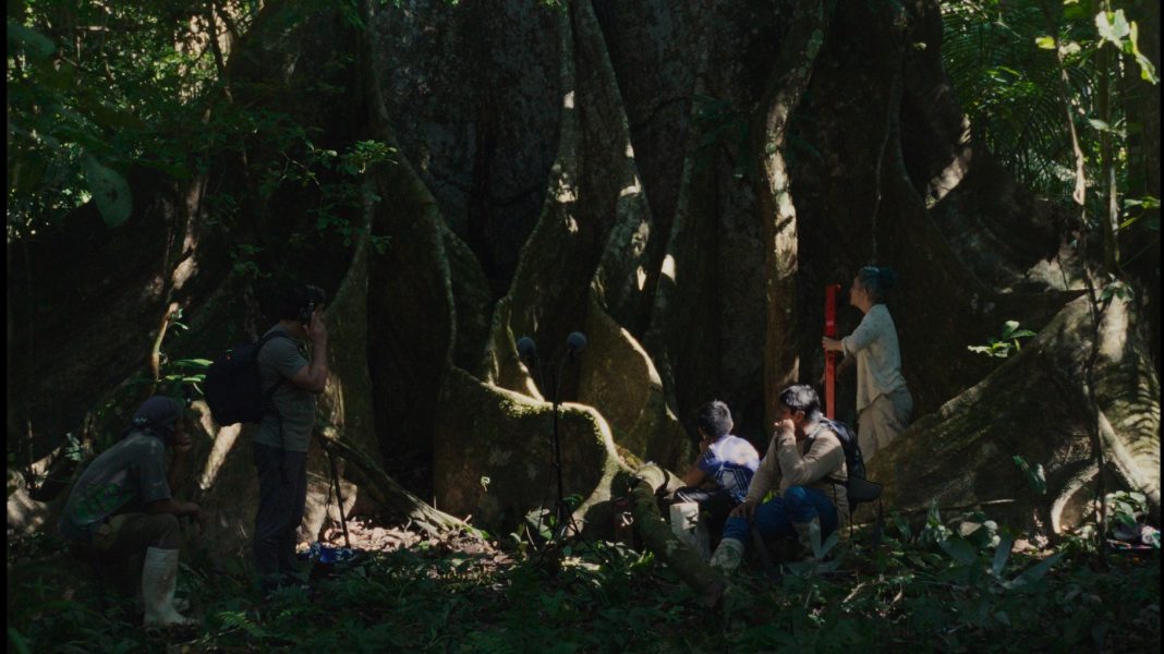 ‘Far From the Trees’: Een film die de geest prikkelt ‘Far From the Trees’: Een film die de geest prikkelt (Picture by: variety.com)