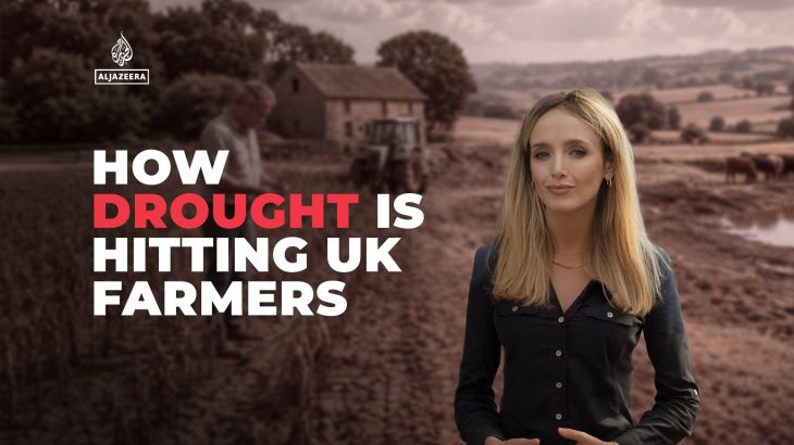 Hoe treft de droogte de Britse landbouw? (Picture by: aljazeera.com)