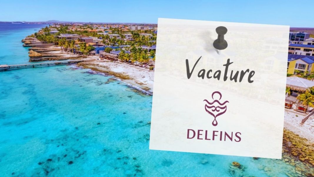 Kok Bonaire gezocht bij Delfins Beach Resort Kok Bonaire gezocht bij Delfins Beach Resort (Picture by: pubble.cloud)