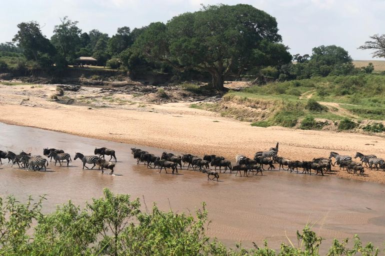 Maasai Mara: Een bedreigde oase? (Picture by: aljazeera.com)