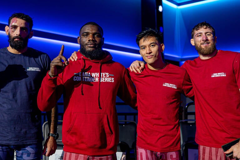 Nederlandse titel (max 100 chars) Nederlandse titel (max 100 chars) (Picture by: ufc.com)