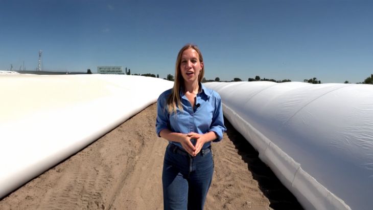Oekraïense boeren gebruiken tijdelijke opslag om graanexport te herstellen (Picture by: aljazeera.com)