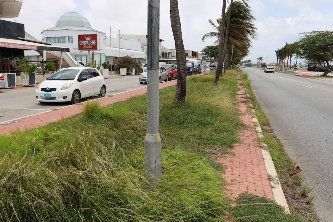 Onderhoud Henny Eman Boulevard schiet tekort (Picture by: 24ora.com)