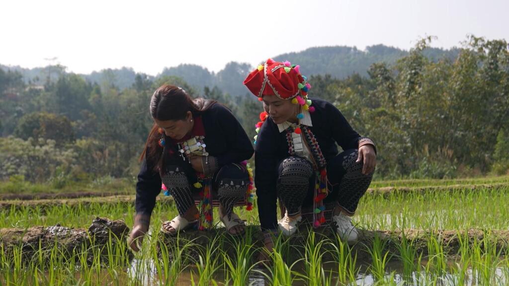 Vietnamse Hmong gemeenschap vecht tegen klimaatverandering (Picture by: s.france24.com)