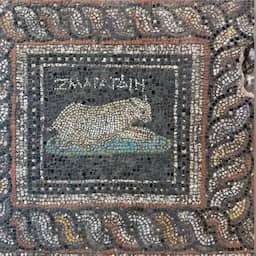 Archeologen ontdekken 1800 jaar oud Romeins mozaïek met mogelijk huisdieren in Turkije (Picture by: nu.cw)