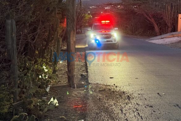 Bestuurder rijdt zonder gordel en ramt lichtmast in Warawara (Picture by: masnoticia.com)