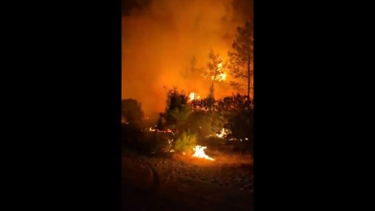 Bosbranden in Antalya dwingen evacuaties nabij populaire toeristische resorts (Picture by: aljazeera.com)