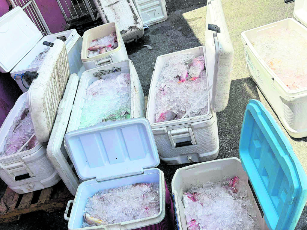 Economische Inspectie grijpt in bij illegale visverkoop vanaf boten in Willemstad (Picture by: extra.cw)
