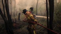 El Niño is nu het sterkste ooit gemeten, weken voor verwachte piek (Picture by: ichef.bbci.co.uk)