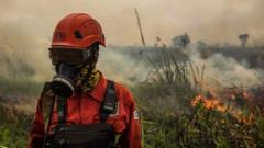 Giftige bosbranden rook verspreidt zich door Zuidoost-Azië Giftige bosbranden-haze verspreidt zich door Zuidoost-Azië door 'super' El Niño (Picture by: ichef.bbci.co.uk)