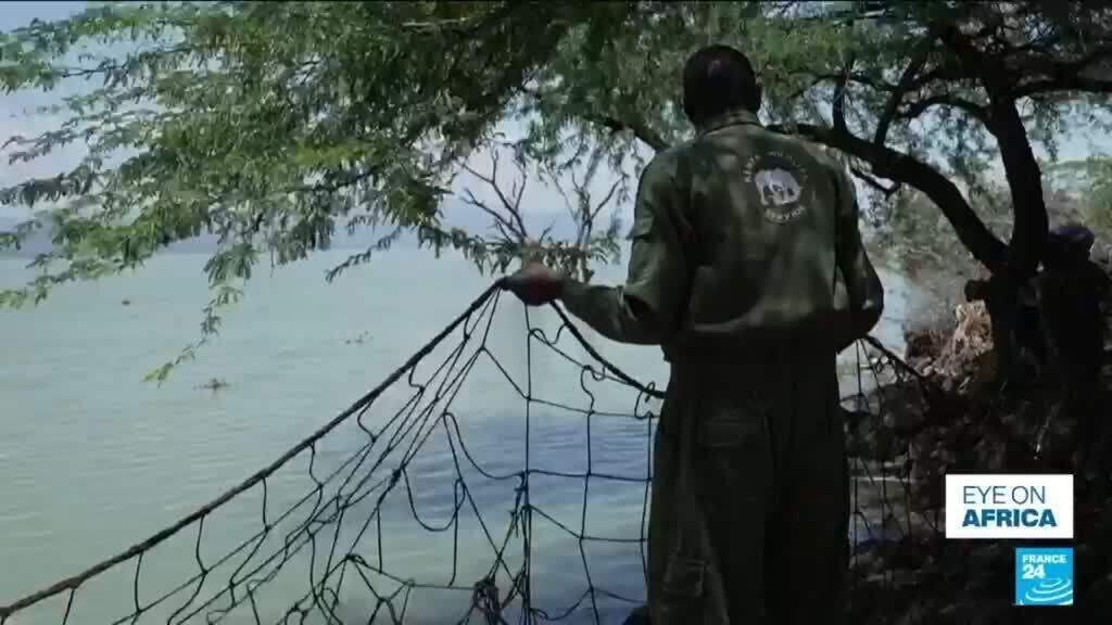 Kenya: Stijgende meren drijven krokodillen richting bewoonde gebieden (Picture by: s.france24.com)