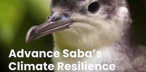 Saba lanceert Klimaatplan en Actieagenda op 3 oktober met focus op biodiversiteit (Picture by: saba-news.com)