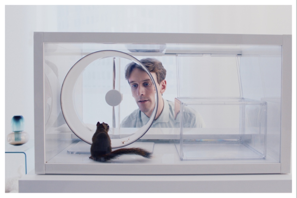 'The Squirrel' van Markus Lehmusruusu krijgt zegen van Aki Kaurismäki: 'Beter dan 2001: A Space Odyssey' (Picture by: variety.com)